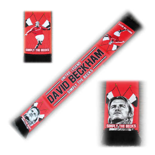 Beckham Scarf Type Wall Banner