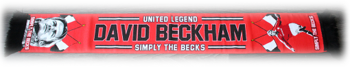 Beckham Scarf Type Wall Banner - Image 2