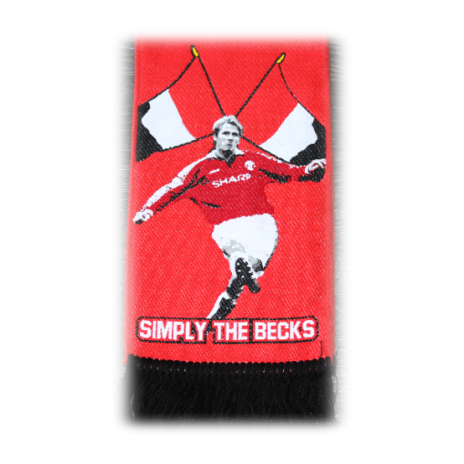 Beckham Scarf Type Wall Banner - Image 4